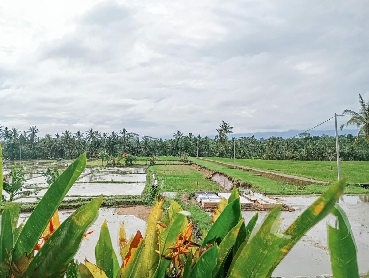 Nyoman Sandat House 1 Убуд Экстерьер фото