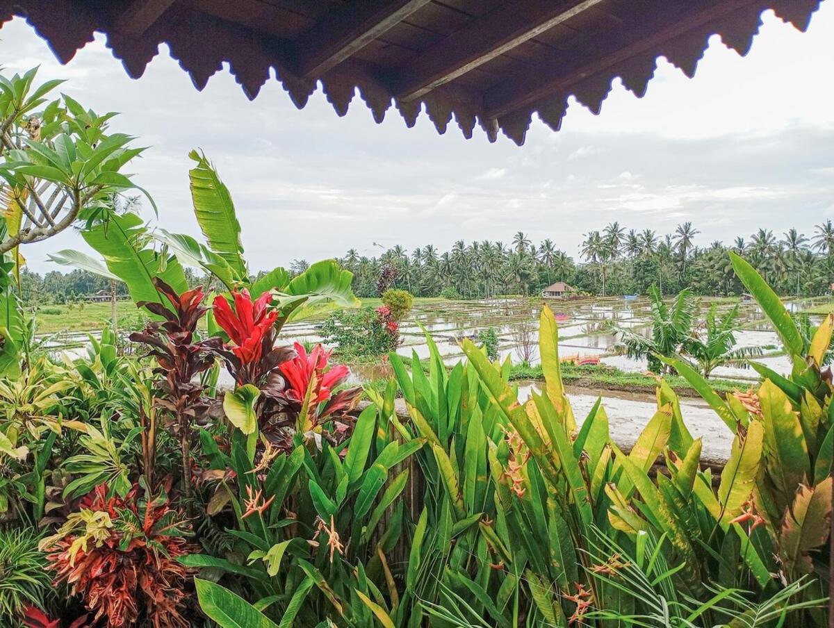 Nyoman Sandat House 1 Убуд Экстерьер фото